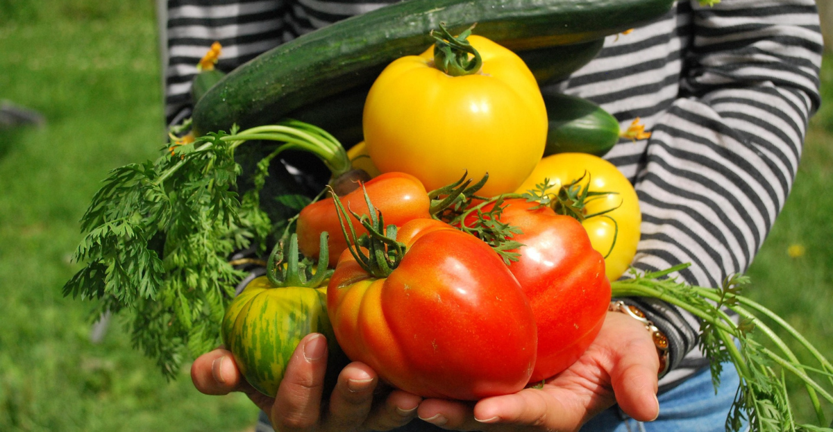 Selection of home grown food